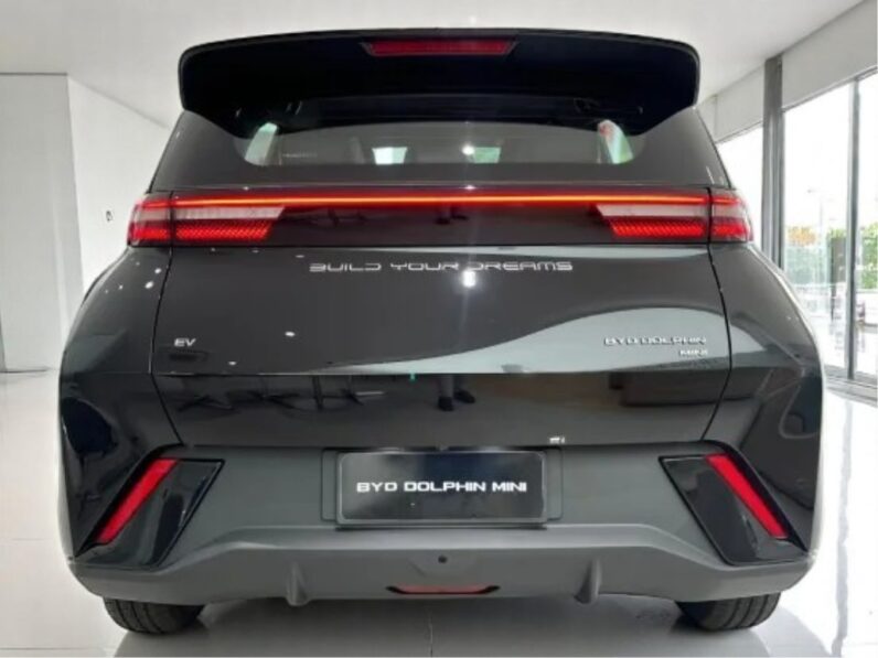 BYD DOLPHIN MINI 38 KM ELÉTRICO