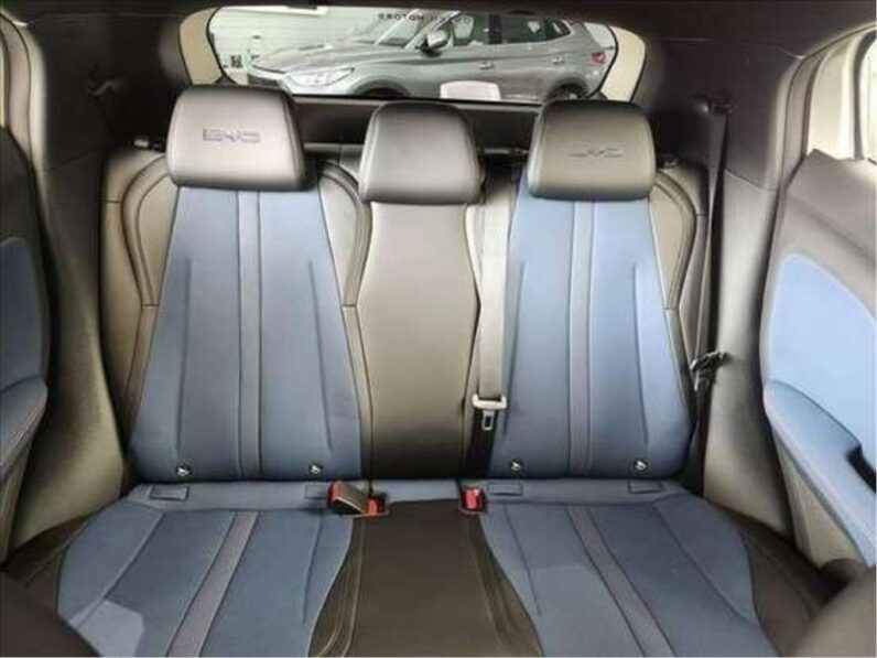 BYD DOLPHIN MINI 38 KW ELÉTRICO 5L