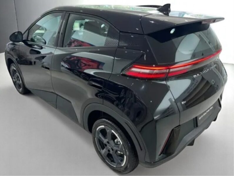 BYD DOLPHIN MINI 38 KM ELÉTRICO