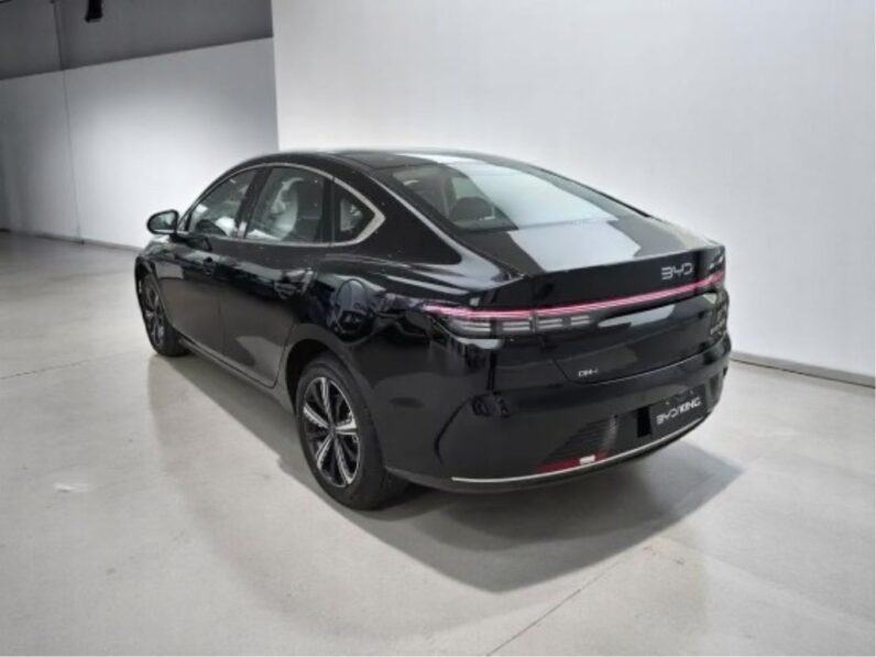 BYD KING 1.5 DM-I PHEV GS AUTOMÁTICO