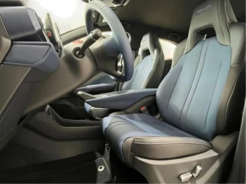 BYD DOLPHIN MINI 38 KM ELÉTRICO