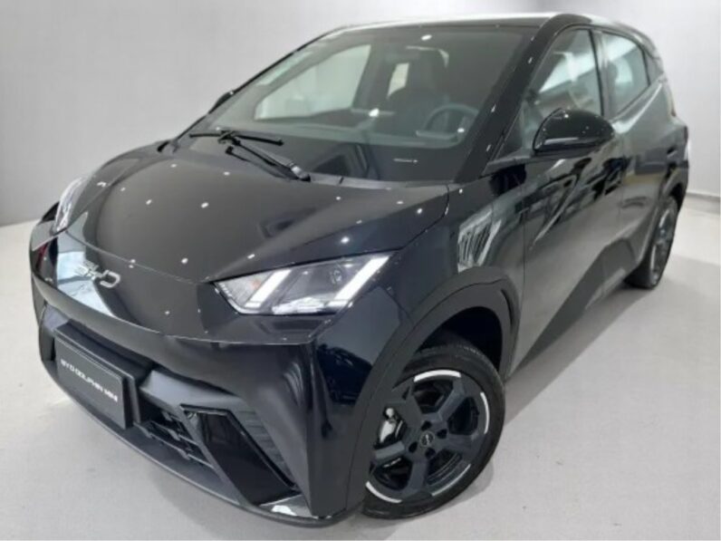 BYD DOLPHIN MINI 38 KM ELÉTRICO
