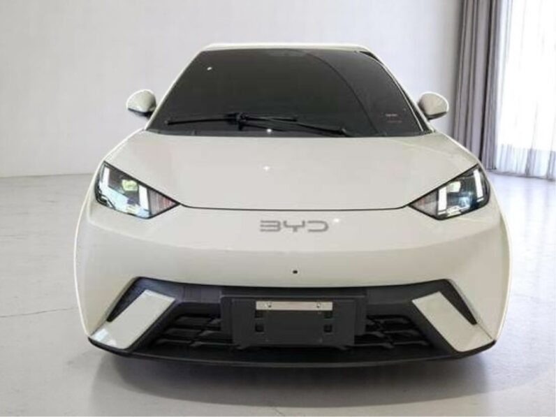 BYD DOLPHIN MINI 38 KW ELÉTRICO 5L