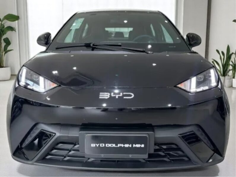 BYD DOLPHIN MINI 38 KM ELÉTRICO
