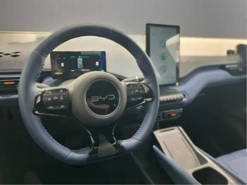 BYD DOLPHIN MINI 38 KM ELÉTRICO
