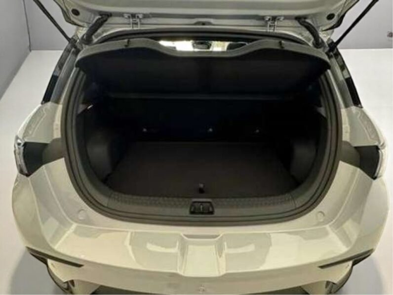 BYD DOLPHIN 60,5 KW ELÉTRICO PLUS
