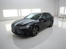 BYD KING 1.5 DM-I PHEV GS AUTOMÁTICO