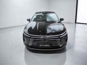 BYD KING 1.5 DM-I PHEV GS AUTOMÁTICO