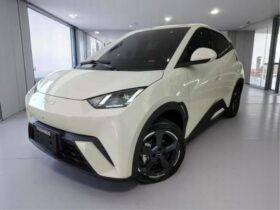 BYD DOLPHIN MINI 38 KW ELÉTRICO 5L