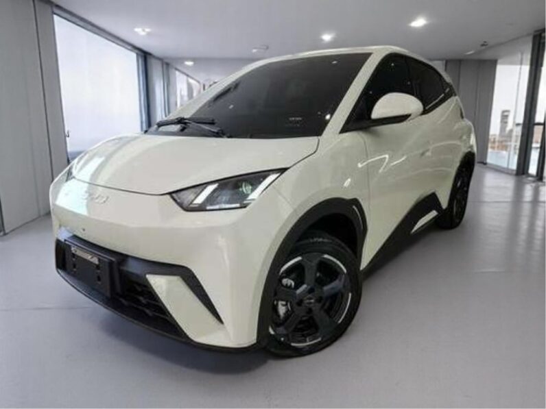 BYD DOLPHIN MINI 38 KW ELÉTRICO 5L