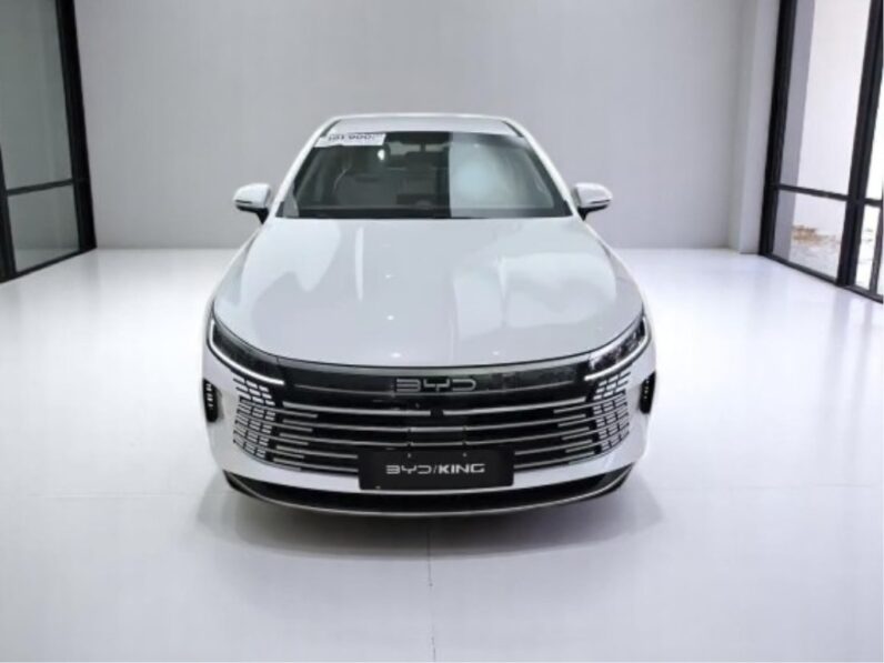 BYD KING 1.5 DM-I PHEV GS AUTOMÁTICO