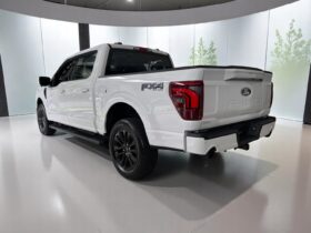 FORD F-150 5.0 V8 GASOLINA CD LARIAT FX4 AUTOMÁTICO