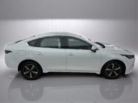BYD KING 1.5 DM-I PHEV GS AUTOMÁTICO