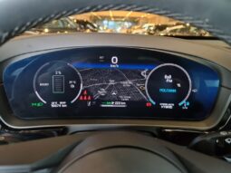 
										PORSCHE CAYENNE 3.0 V6 E-HYBRID AWD TIPTRONIC S full									