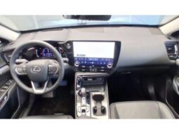 
										LEXUS NX 450h+ 2.5 PHEV AWD CVT full									