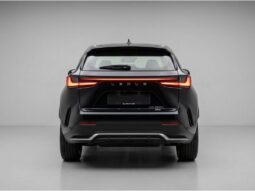 
										LEXUS NX 450h+ 2.5 PHEV AWD CVT full									