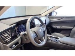 
										LEXUS NX 450h+ 2.5 PHEV AWD CVT full									
